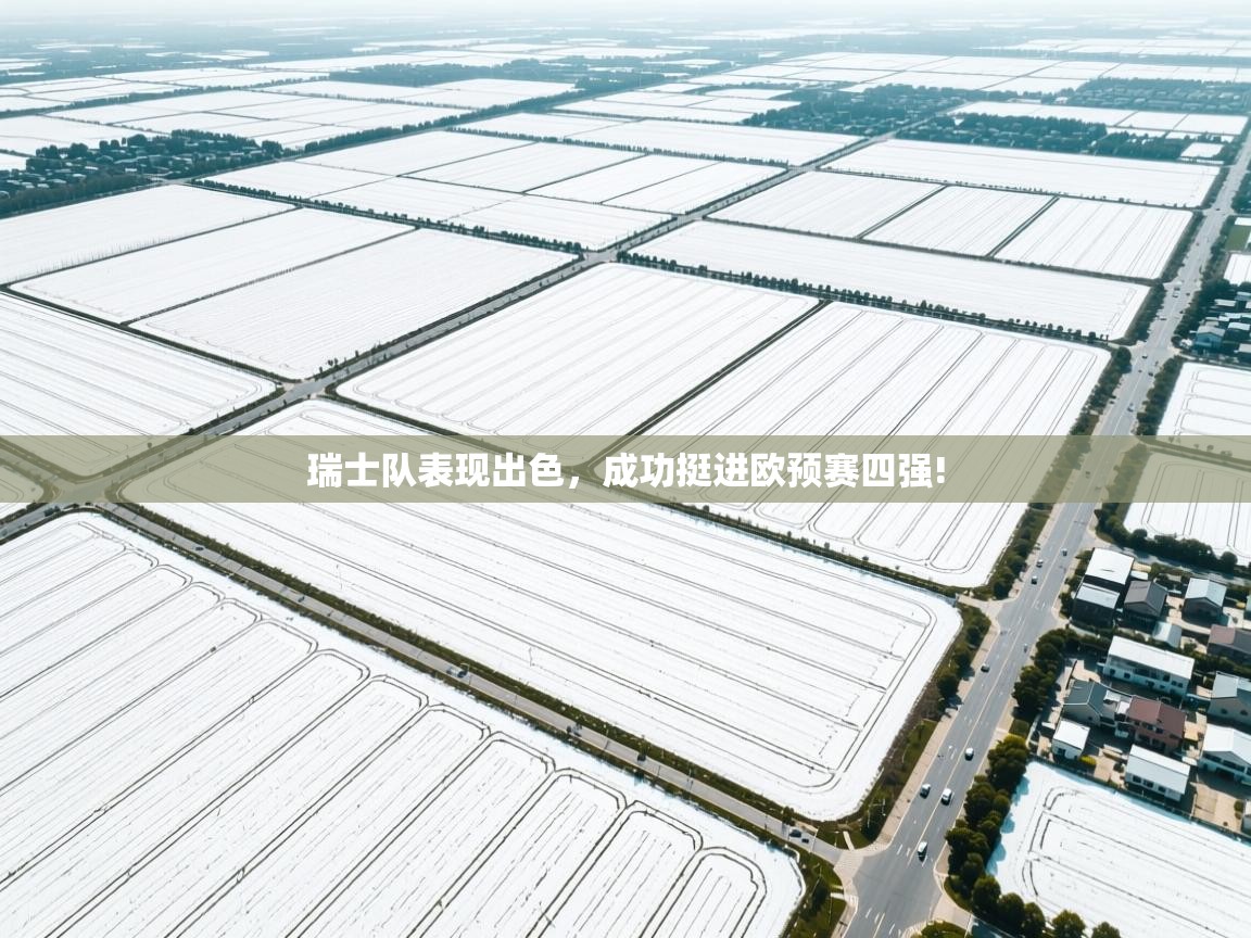 瑞士队表现出色，成功挺进欧预赛四强!