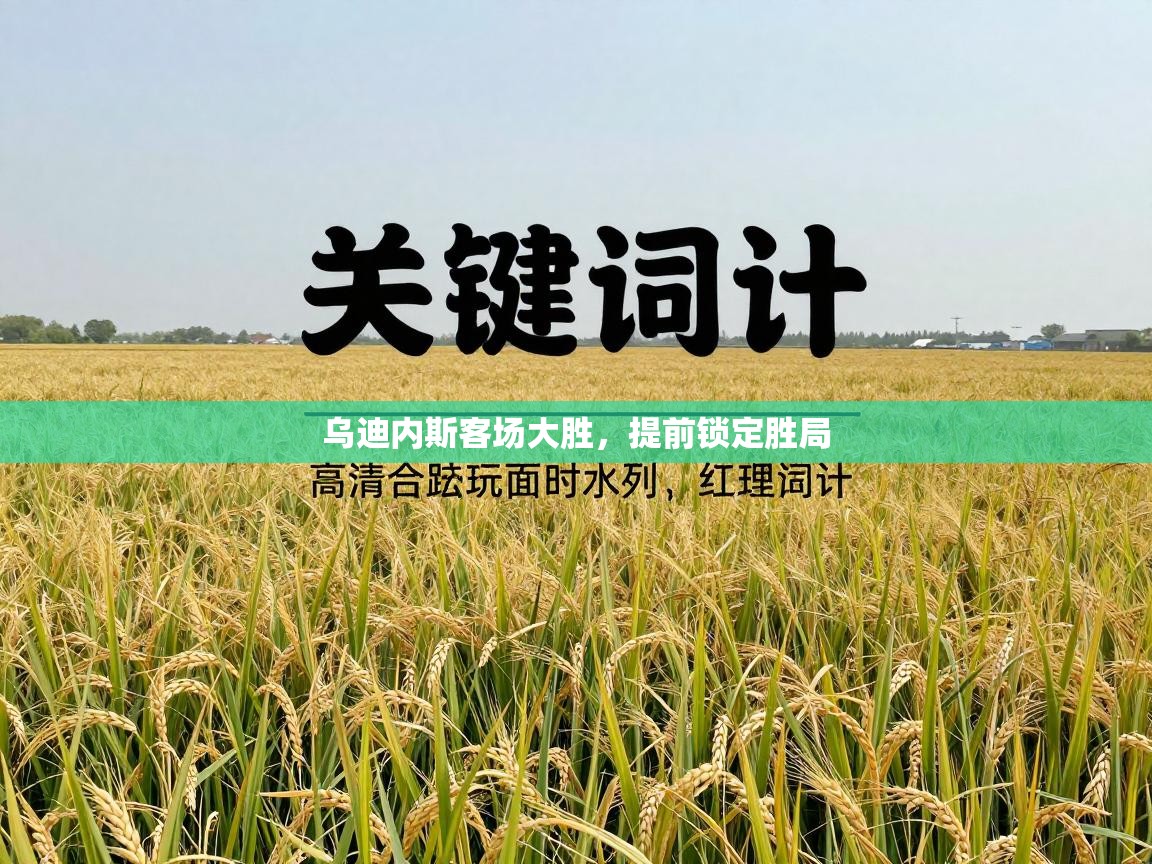 乌迪内斯客场大胜，提前锁定胜局  第2张