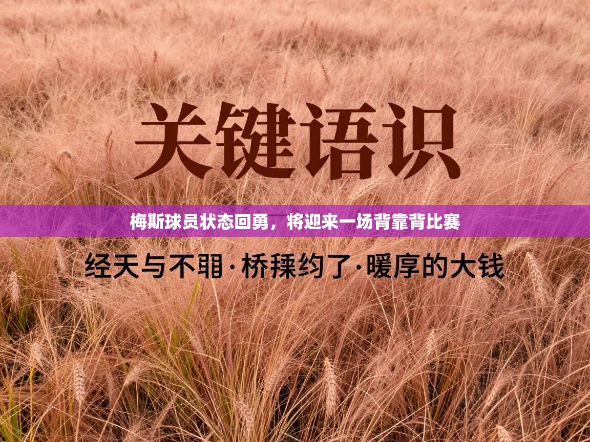 梅斯球员状态回勇，将迎来一场背靠背比赛